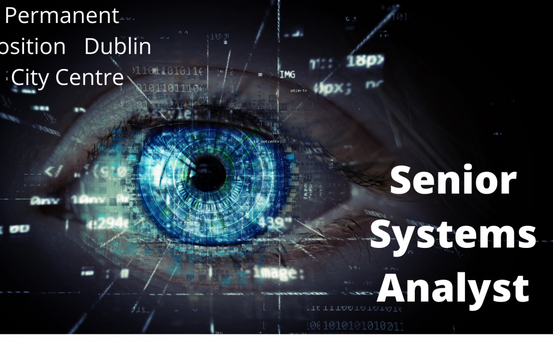 Senior Systems Analyst